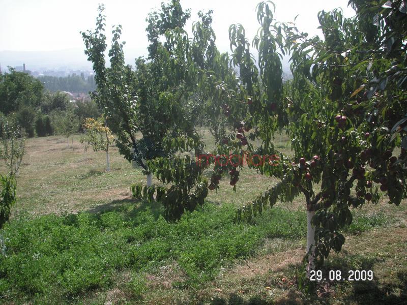 Land  for sell in Cluj-napoca, ward Dambul Rotund